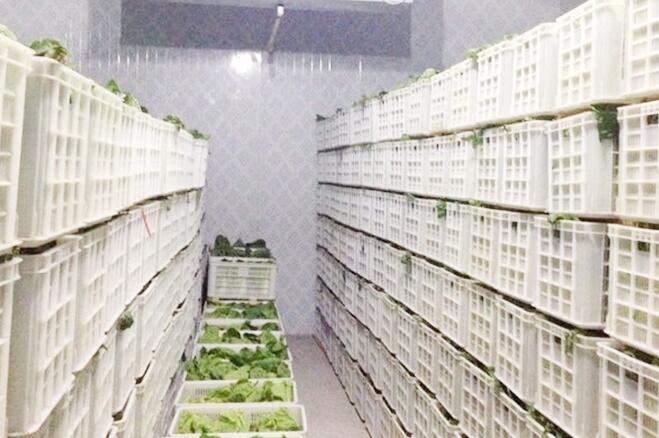 蔬菜保鲜冷库存储技术及保鲜期限，由日皮网站厂家来解释