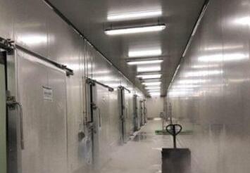 冷库造价多少一立方，关于日皮网站造价因素的相关知识