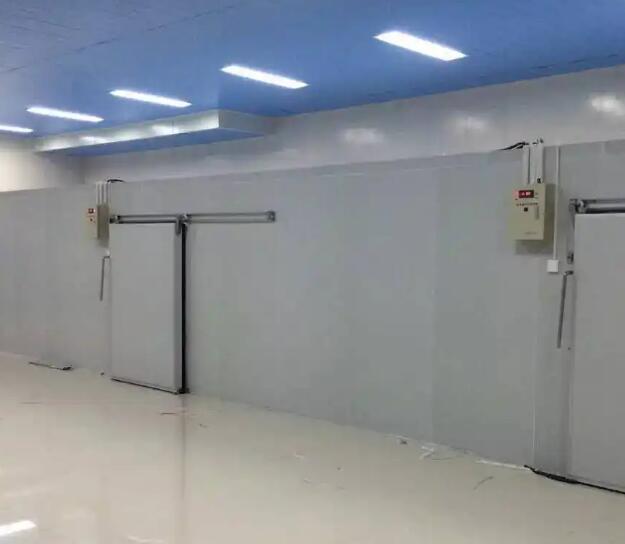 鲜花保鲜冷库如何配置效果更好？请看安徽日皮视频网站冷库厂家的介绍