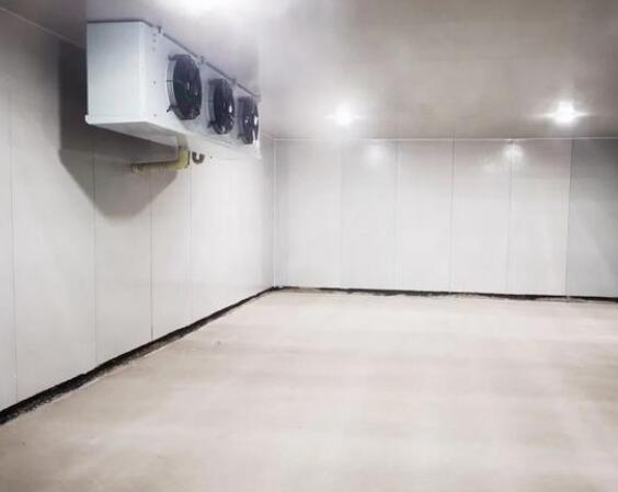 钢结构冷库造价要多少钱一平方？安徽日皮视频网站制冷告诉您